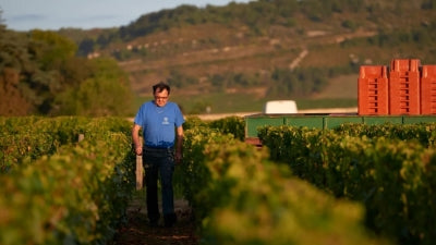 Rossignol-Fevrier 2020 and 2021: A Study in Whole Cluster vs. Destemmed