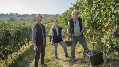 Fratelli Alessandria: Benchmark Producer of Verduno