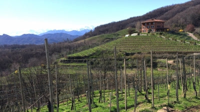 Private Collection: Alto Piemonte