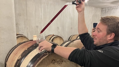 Ethereal Chambolle-Musigny from Amiot-Servelle: Bourgogne Rouge, Village, 1er Crus, and Grand Cru!