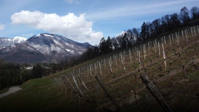 Savoie and Savoie-adjacent