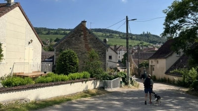 Amazing deal on 2022 Domaine de Chassorney Volnay 1er Cru Les Ronceret