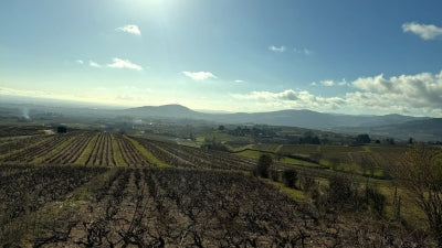 Beaujolais Season