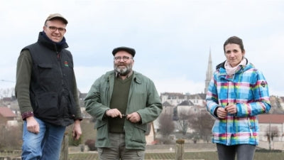 Back by Popular Demand: Pierre Boisson Hautes-Cotes de Beaune 'La Chemin de Pierre'