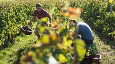 Enter Fall: New arrivals from Bordeaux and Southwest France