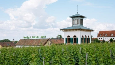 Spectacular Rieslings from Dr. Bürklin-Wolf 2021-2023