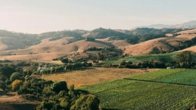 New Arrivals from California: Sandlands, Âmevive, Phelan Farm and More!