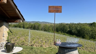 Beaujolais: Superb 2024s from Desvignes, plus Chapel, Bouland, Descombes, Foillard and More!