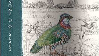 Domaine de la Chevalerie Bourgueil "Noms D'Oiseaux" - A Great Cabernet Franc