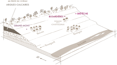Bourgueil, Part One: Domaine de la Chevalerie!
