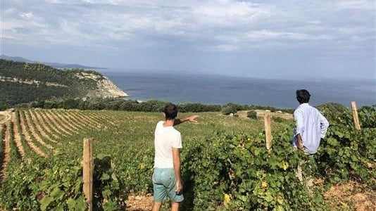 Two Delicious Corsican Wines! Clos Marfisi 'Uva Rouge' and Maestracci 'Clos Reginu'