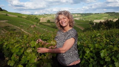 Not Just Chablis from Clotilde Davenne: Chablis, Cremant, and Saint-Bris!