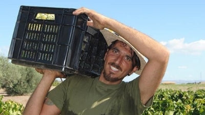 Sicilian Summer Favorites from Mortellito in the Val di Noto!