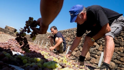 Sicily Part II: Marsala, Vittoria & Noto