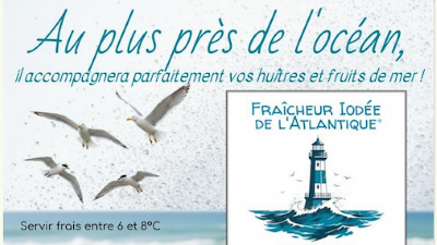 Mid-Winter Muscadet - Parentière is Back, with Landron and Pépière!