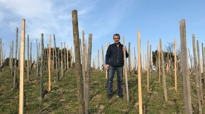 Old-school prices on old-school Cornas from Franck Balthazar