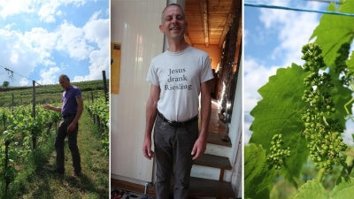 Nice Picks from the Fricks: Thomas, Pierre and Chantal Frick from Alsace