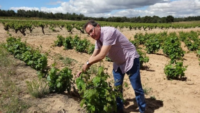 Exceptional Wines of Ribera del Duero: Featuring Goyo Garcia Viadero and Alfredo Maestro