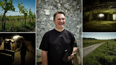Our Best Values are Back: The Beautiful Bourgueils of Stéphane Guion, and More!