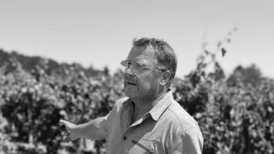 Amazing Value Burgundies from Jerome Fornerot