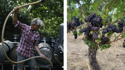 New Wines from Cameron!