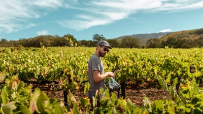 Ruth Lewandowski: Capturing Sunshine in a Bottle
