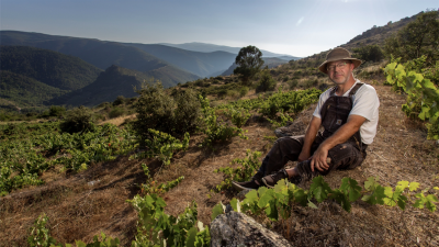 Galician Wines not to be Missed! Featuring La Perdida