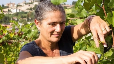 Punset and The Agriculture of Not Doing