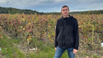 Vintage Champagne That's Just $60!