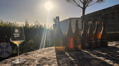 Wines of Lisbon: Colares and Beyond! Featuring Casal do Ramilo, Viuva Gomes and More!