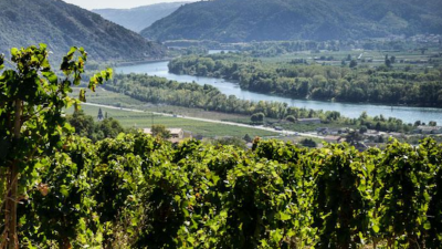 Rhône Valley, North and South: Rousset "Les Picaudières" and Many More...
