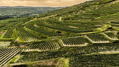 Get Your Grüner! - Veyder-Malberg, Hirsch, Brundlmayer, Ott, Christina, and Barbara Öhlzelt