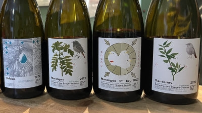 Fun Red Burgundies from the Cote de Beaune: Nathalie Richez and Rouges-Queues