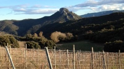 Wines of the Roussillon: Laguerre, Matassa, Gauby and more!