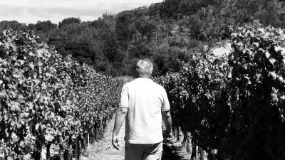 Scholium Project Library Releases