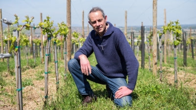 New Arrivals/Returning Favorites - 2025 #1: France