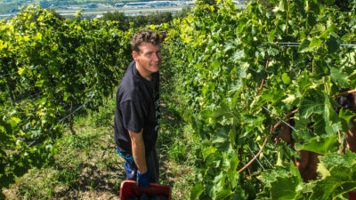 Vallee D'Aoste Producer Spotlight!