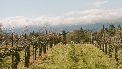 California Grenache, Syrah, Mourvedre and More!