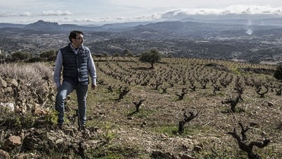 The Fantastic Wines of Rubén Díaz