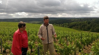 The Sublime Terroir of Riceys as Told By Olivier Horiot