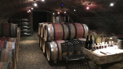 Beautiful Wines - and Great Values - from Stéphane Magnien in Morey-Saint-Denis!