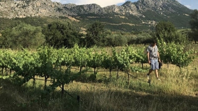 New Organic & Biodynamic Wines from Greece!