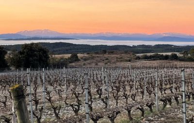 New Arrivals for the Holidays!