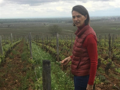 Chandon de Briailles: What's Old is New