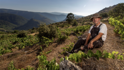 A perfect moment for La Perdida - 2021s and rare parcel wines from Nacho Gonzalez