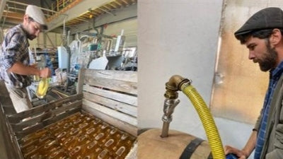 New and Natural from Philippe Brand and Co.