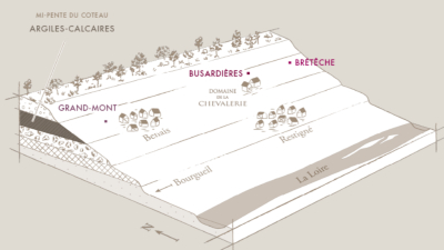 Bourgueil: New Arrivals from Domaine de la Chevalerie and Stéphane Guion!