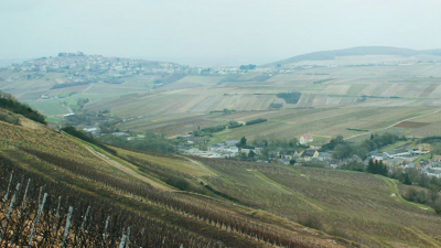 Sancerre from Thomas-Labaille, Delaporte, Vatan & Morin