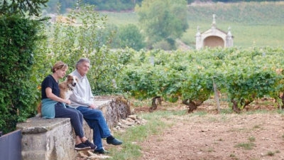 2021 and 2022 Burgundies from Sylvie Esmonin!