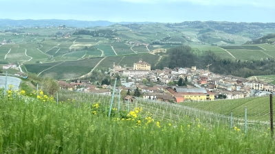 Spring Cellar Cleaning - Piedmont